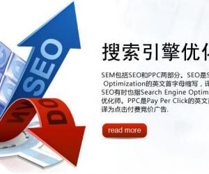 能够精准把握各平台搜索规则的变化趋势